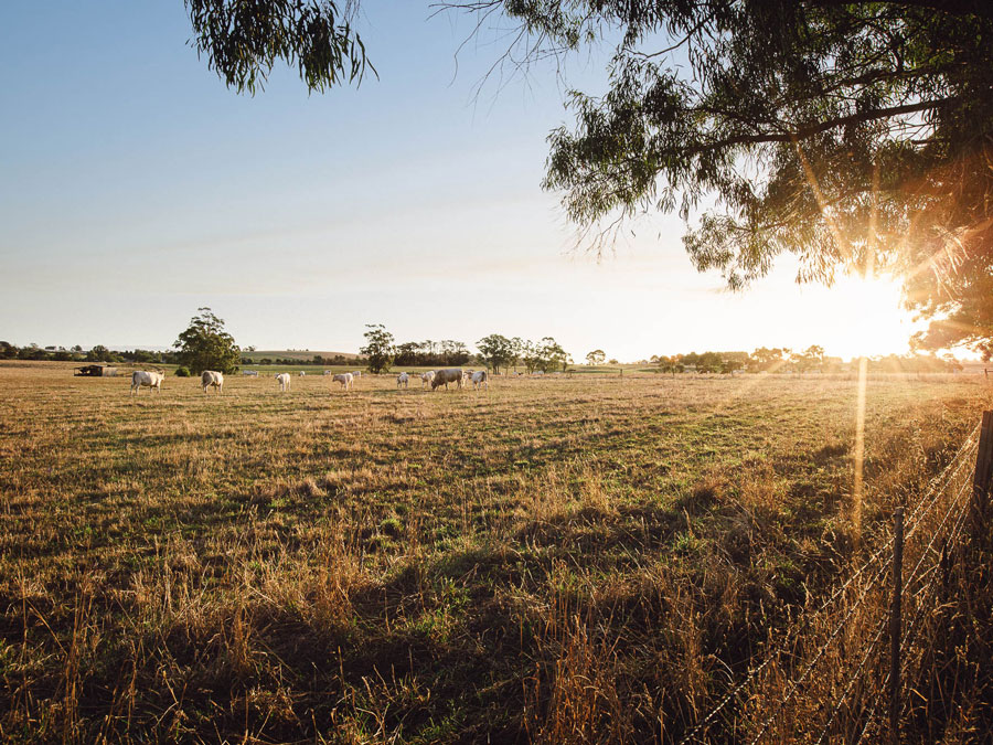 [Land for Sale] Bloomfield Warragul Estate, Nilma OpenLot